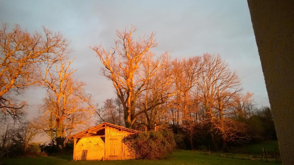 Castel La Bergerie Bed & Breakfast Laglorieuse Luaran gambar